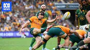 Wallabies coach praises 'utterly committed' Gordon ahead of Lions tour