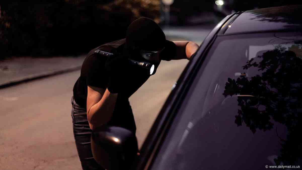 Thieves stole my car using a fiendish new device disguised as a Game Boy. So I tracked it down and stole it back myself: ALEX BANNISTER