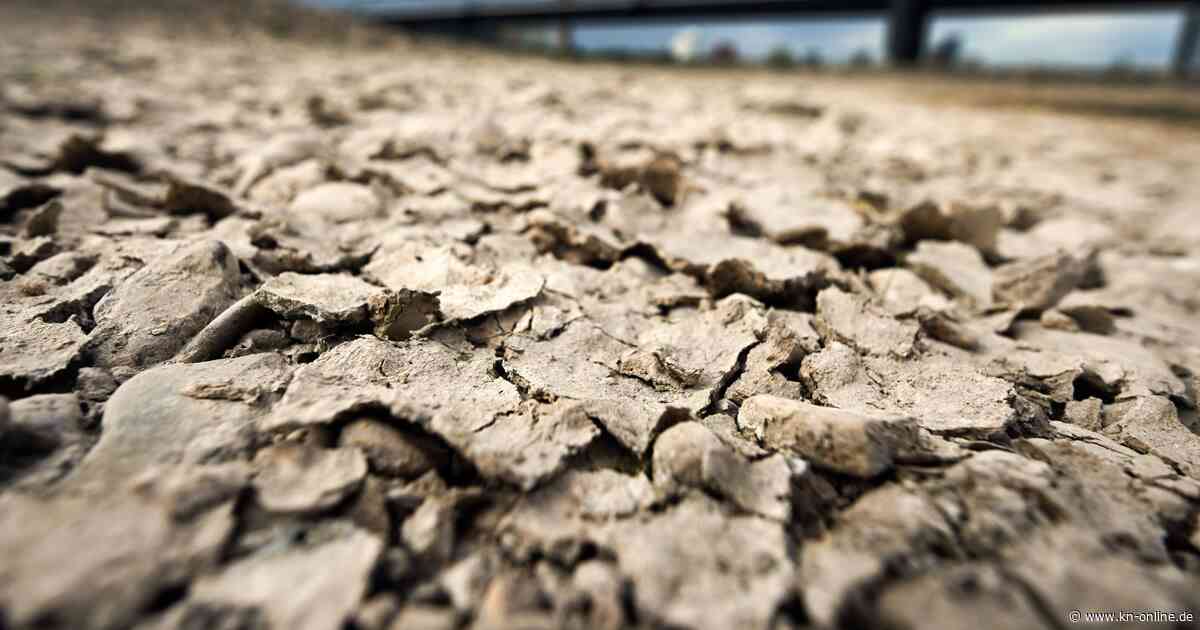 Klimawandel: Weltweit zweitwärmster Mai