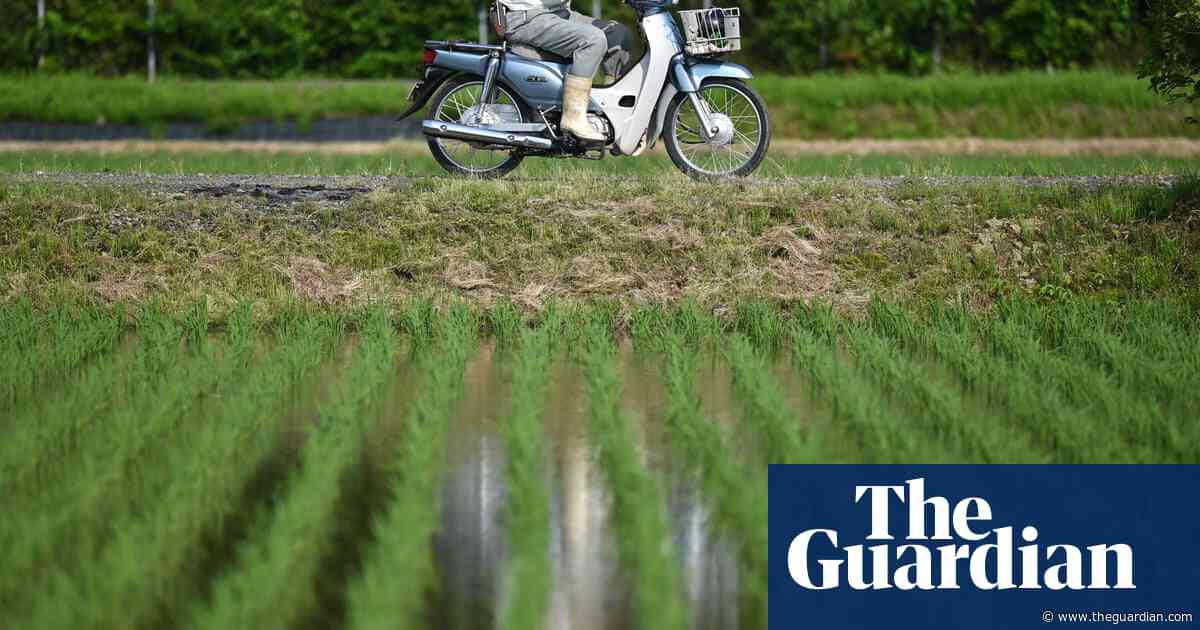 Against the grain: as prices and temperatures rise, can Japan learn to love imported rice?