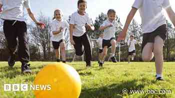 Ban on 'no ball games' signs suggested to get kids off screens