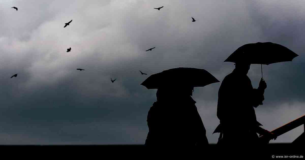 So wird das Wetter heute (11.6.2025): Aktuelle Wettervorhersage und Trends