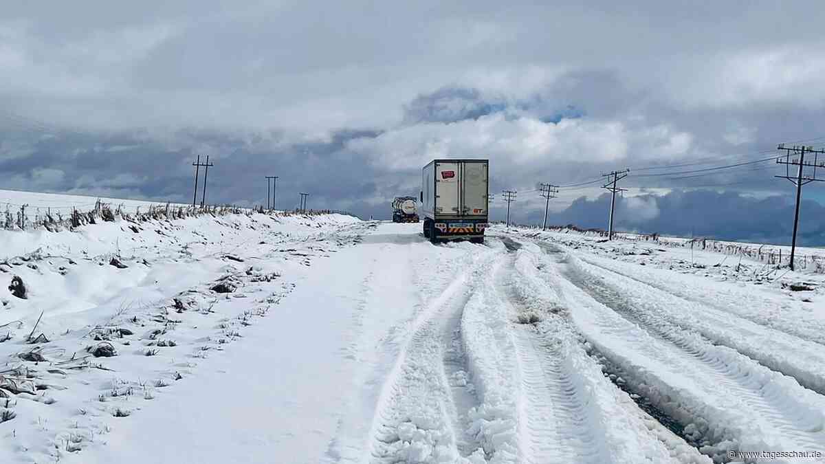 Wintereinbruch: Schneestürme legen Teile Südafrikas lahm