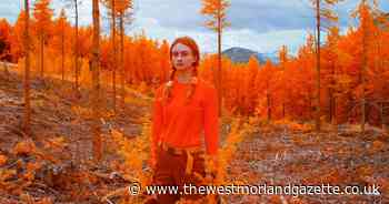 Forestry England announce photography exhibition being held in the Lake District