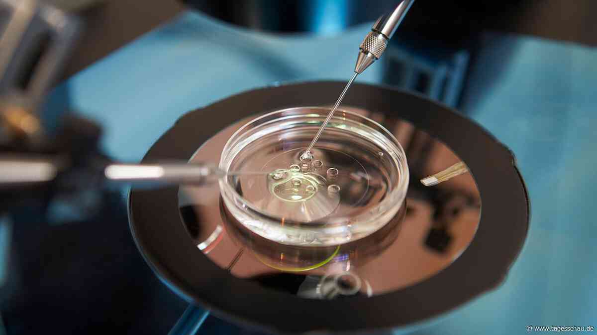 Wenn im Labor aus Stammzellen Ei- oder Samenzellen werden