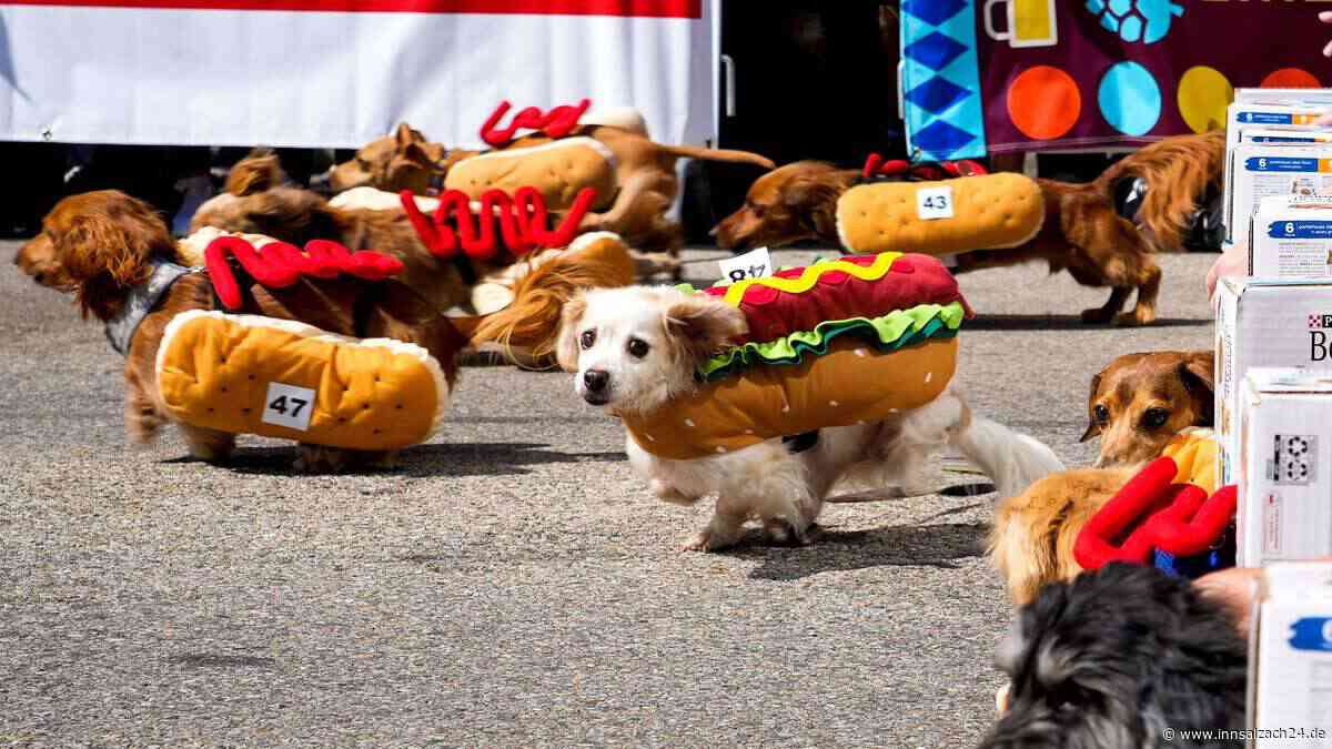 Wiener-Rennen und Bierfässer-Rollen: Das größte Oktoberfest in den USA hat seinen eigenen Style