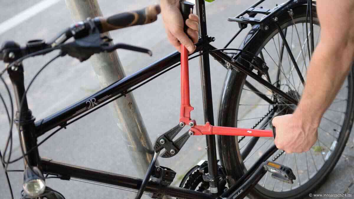 Fahrradversicherung 2025: Welcher Tarif passt zu Eurem Rad?