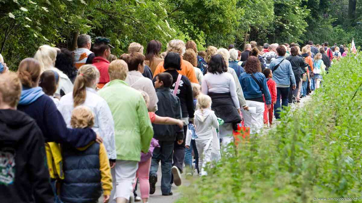 De Avond4daagsen van start: dit is waarom we graag achter elkaar wandelen