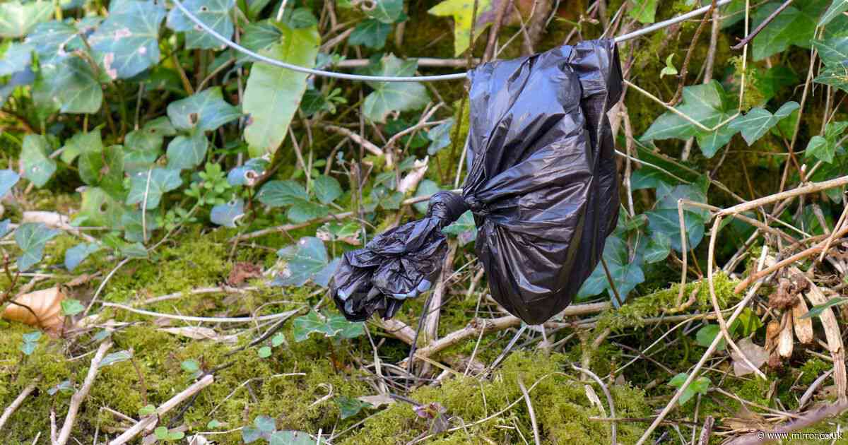 'My neighbours won't clear up dog poo so I came up with petty solution'