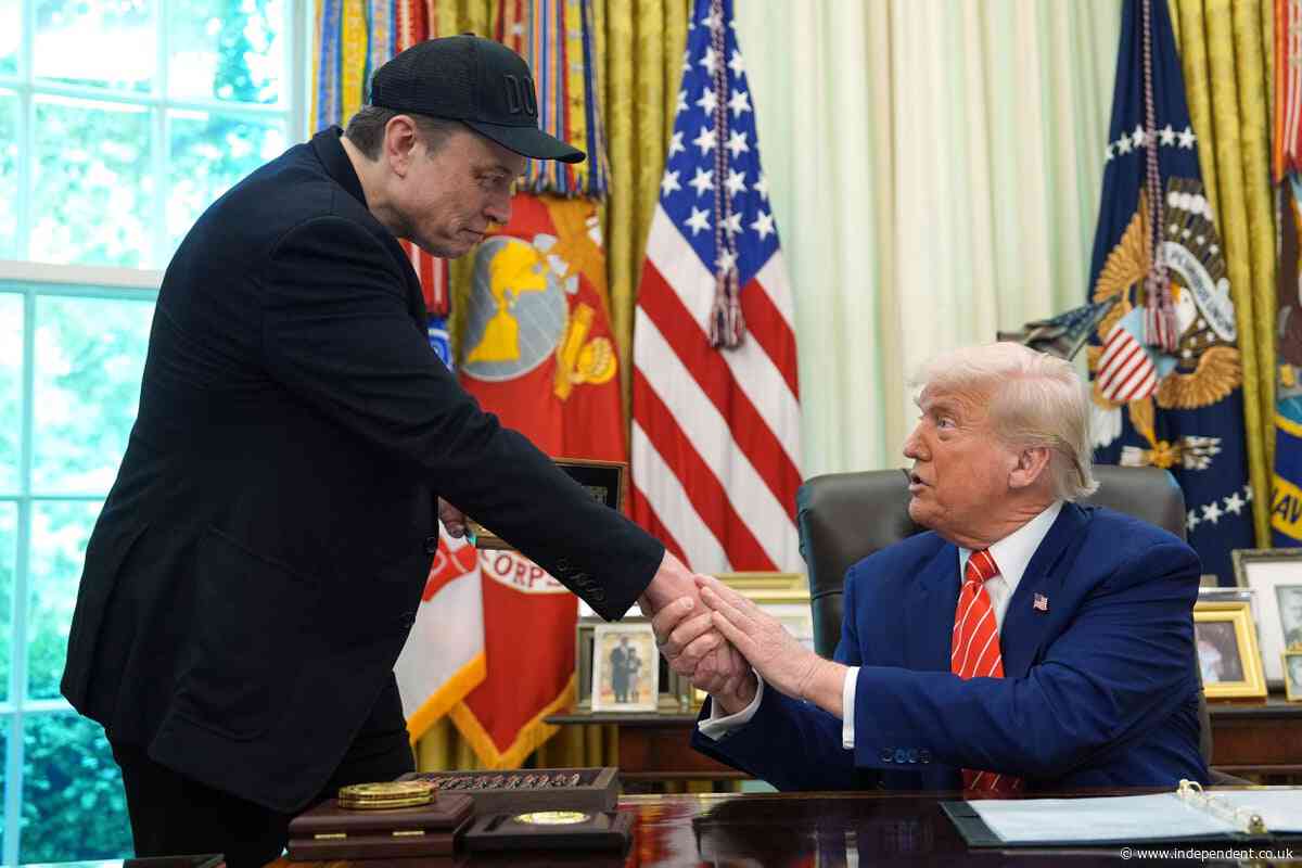 Elon Musk issues groveling apology to Trump saying that his posts ‘went too far’