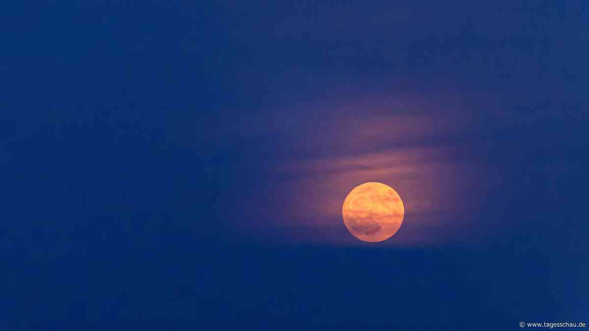 "Erdbeermond" am Nachthimmel zu sehen