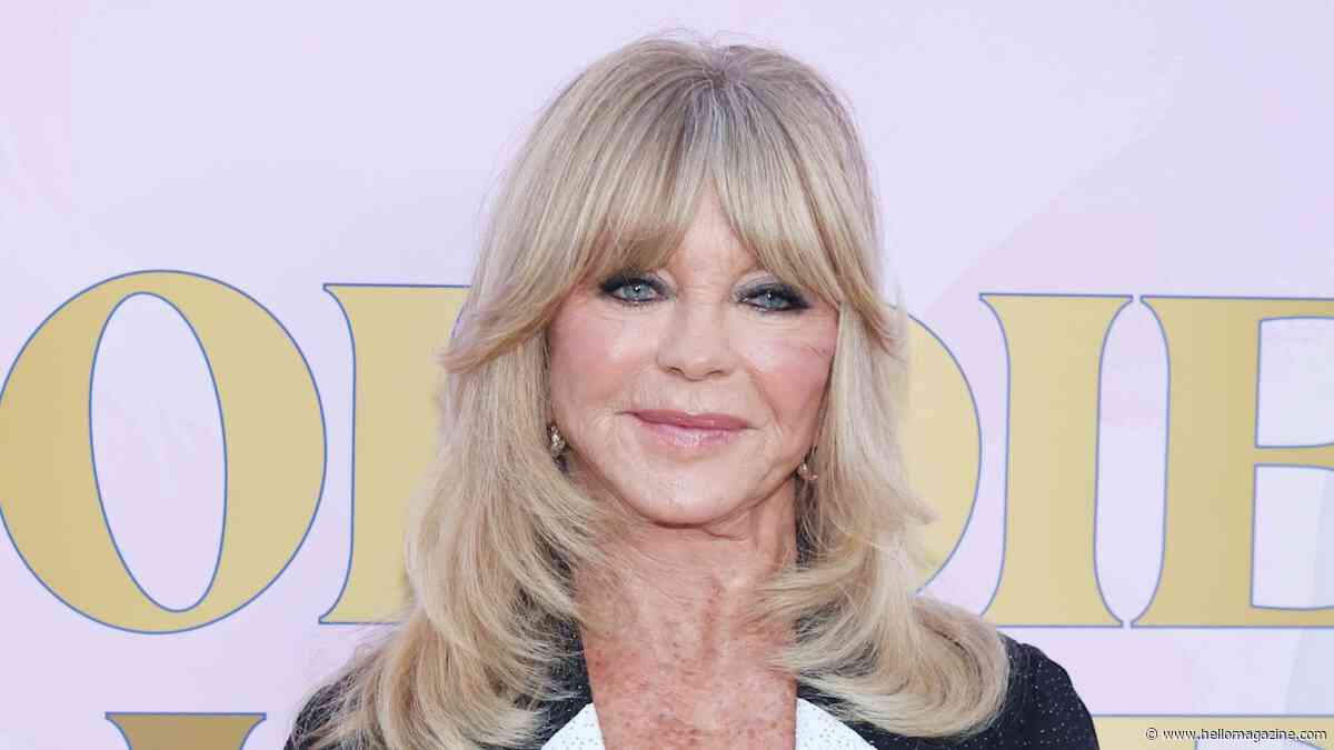 Goldie Hawn celebrates 'other son's' major milestone