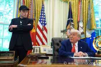 MIKEY SMITH: 9 unhinged Donald Trump moments as Elon Musk posts oddly-worded message