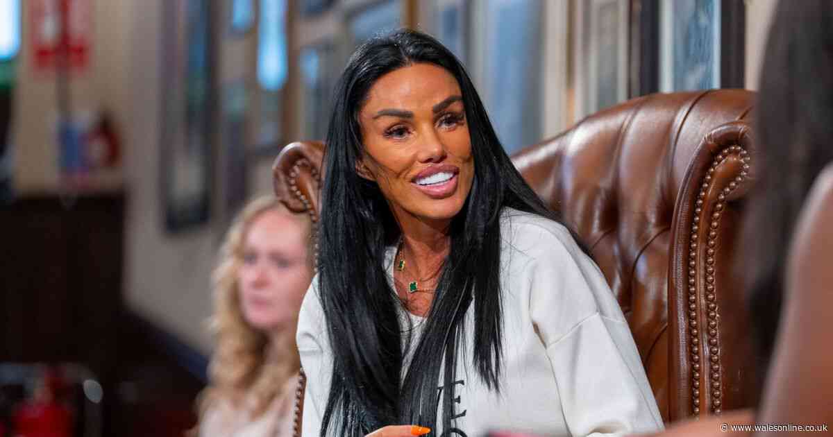 Diesel clothing advert banned for objectifying Katie Price