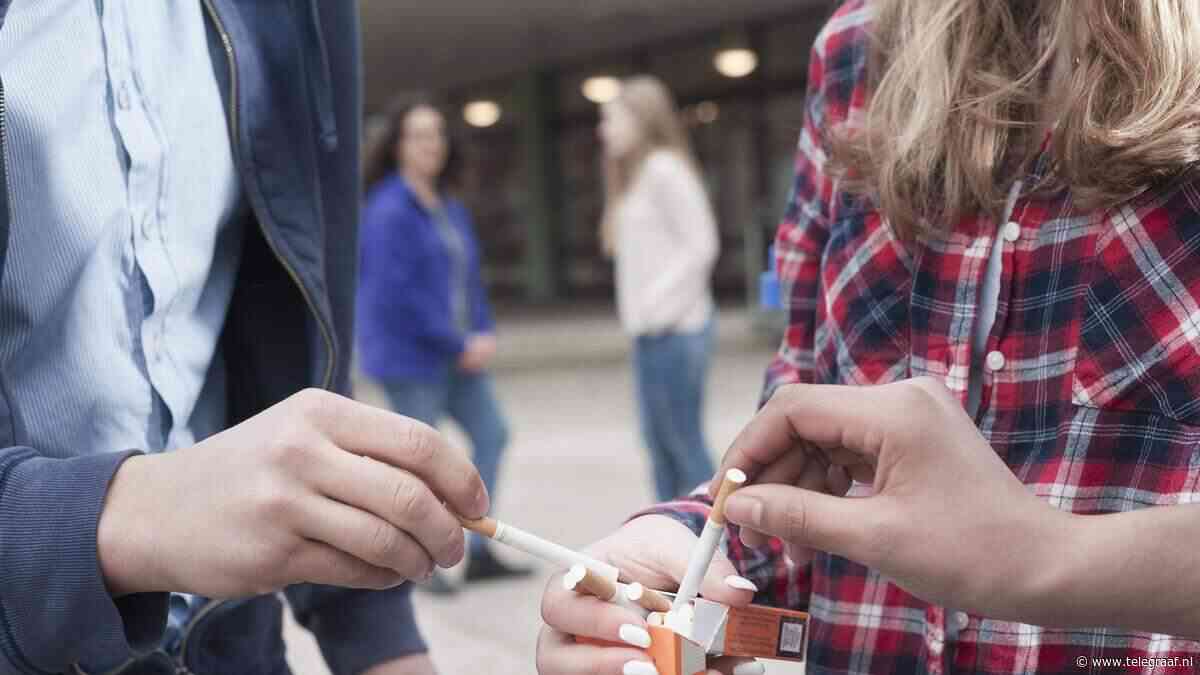 Nederlanders roken dubbel zo veel illegale sigaretten, bijna 100 miljoen pakjes gesmokkeld