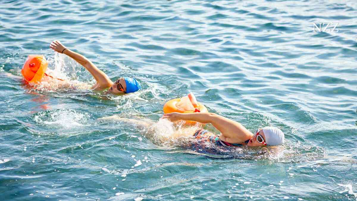 Sie wollen im offenen Gewässer längere Strecken zurücklegen? Mit diesen Hilfsmitteln gelingt es
