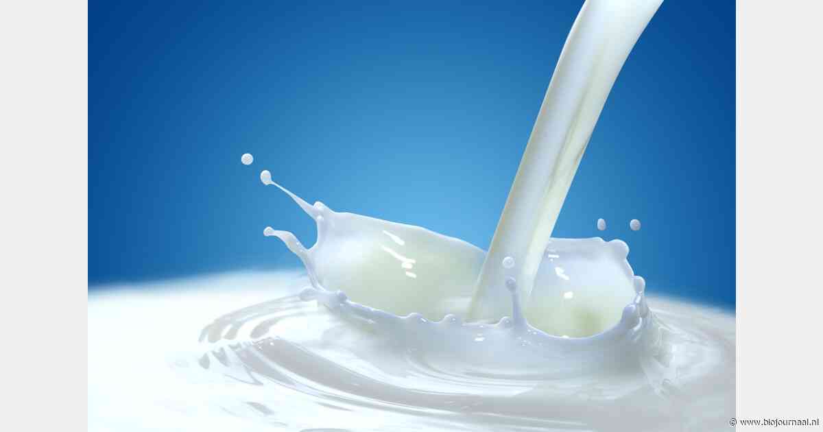 Biologische melkprijs Vreugdenhil stijgt naar €69,33 in juni