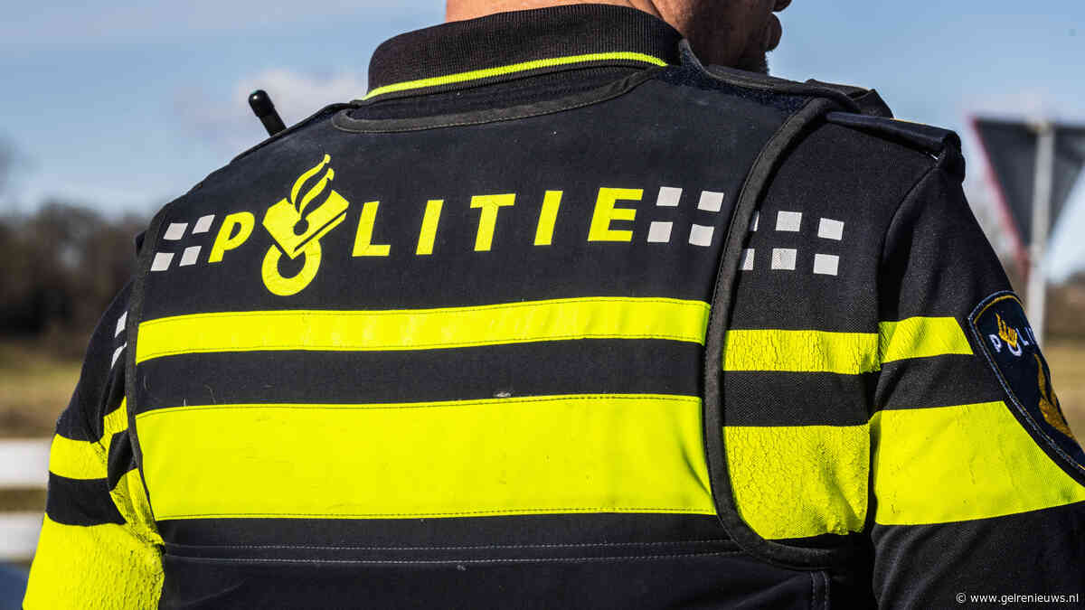 Minderjarig meisje mishandeld door grote groep in Heuvepark, politie zoekt getuigen