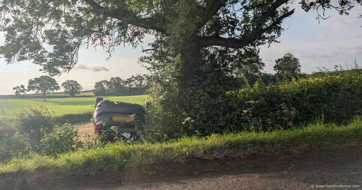 Police called to scene after car crashes through hedge