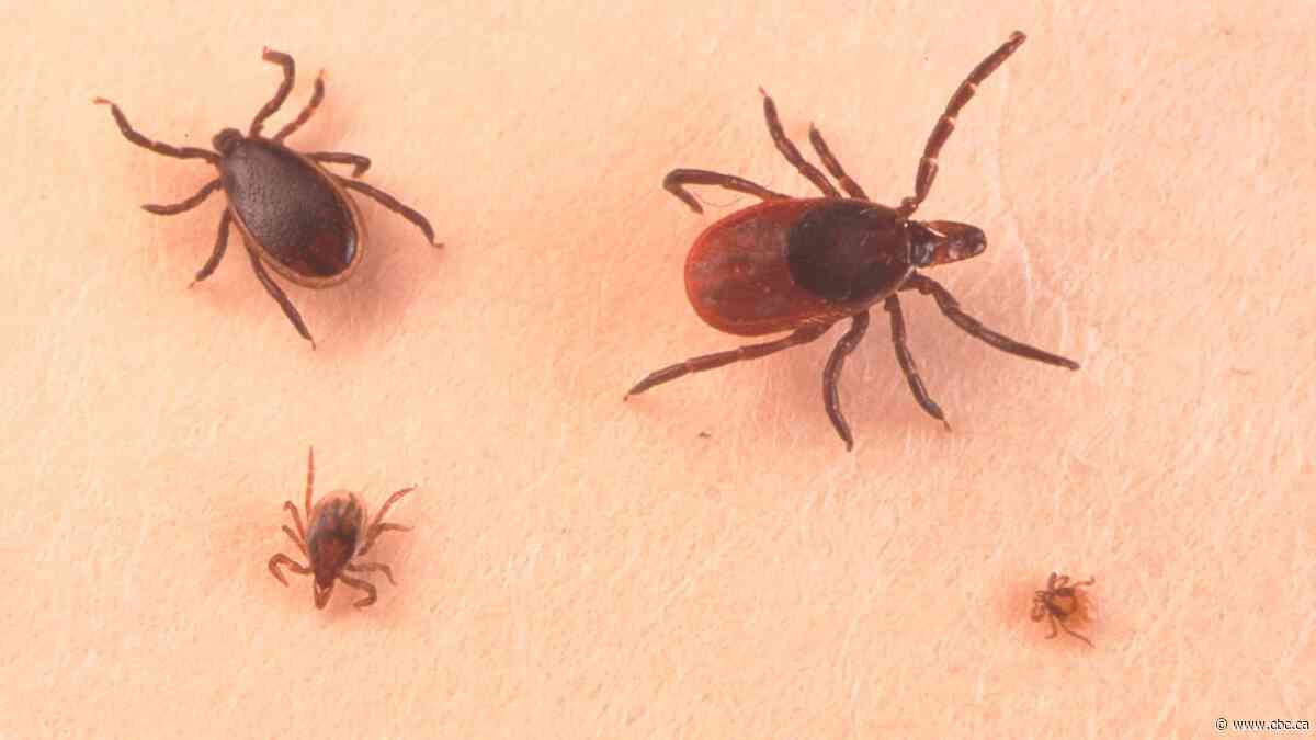 Ticks are showing up in places where they didn’t use to