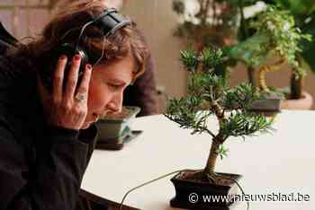 Geluidsfestival Hear Here lokte meer dan 20.000 bezoekers