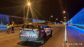 Electric scooter rider dies after crash on Prince Edward Viaduct