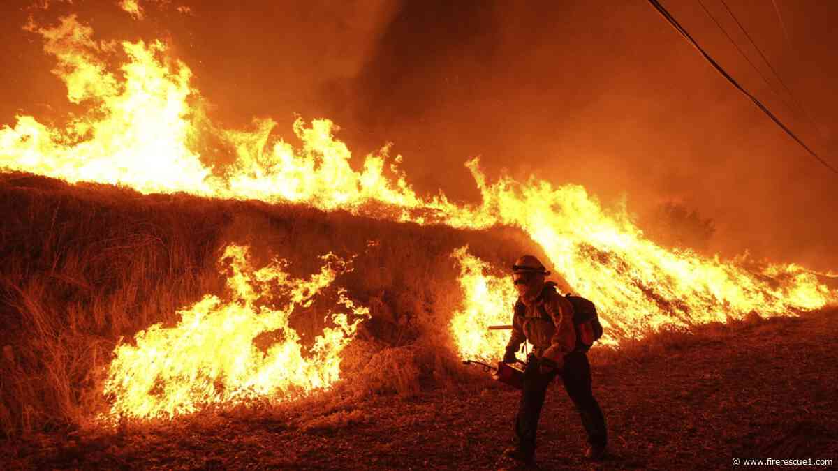 President Trump consolidates federal wildland firefighting under the Interior Department
