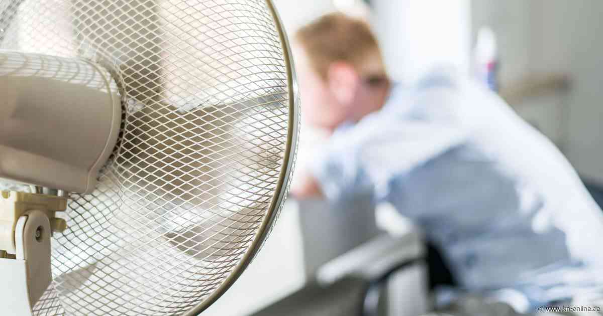 Hitze in der Wohnung: Wie wird man sie los?
