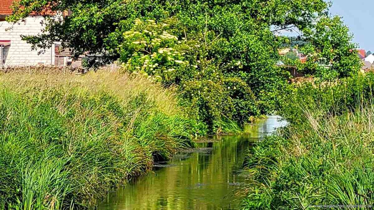 An der Schutter waren die Biber am Werk