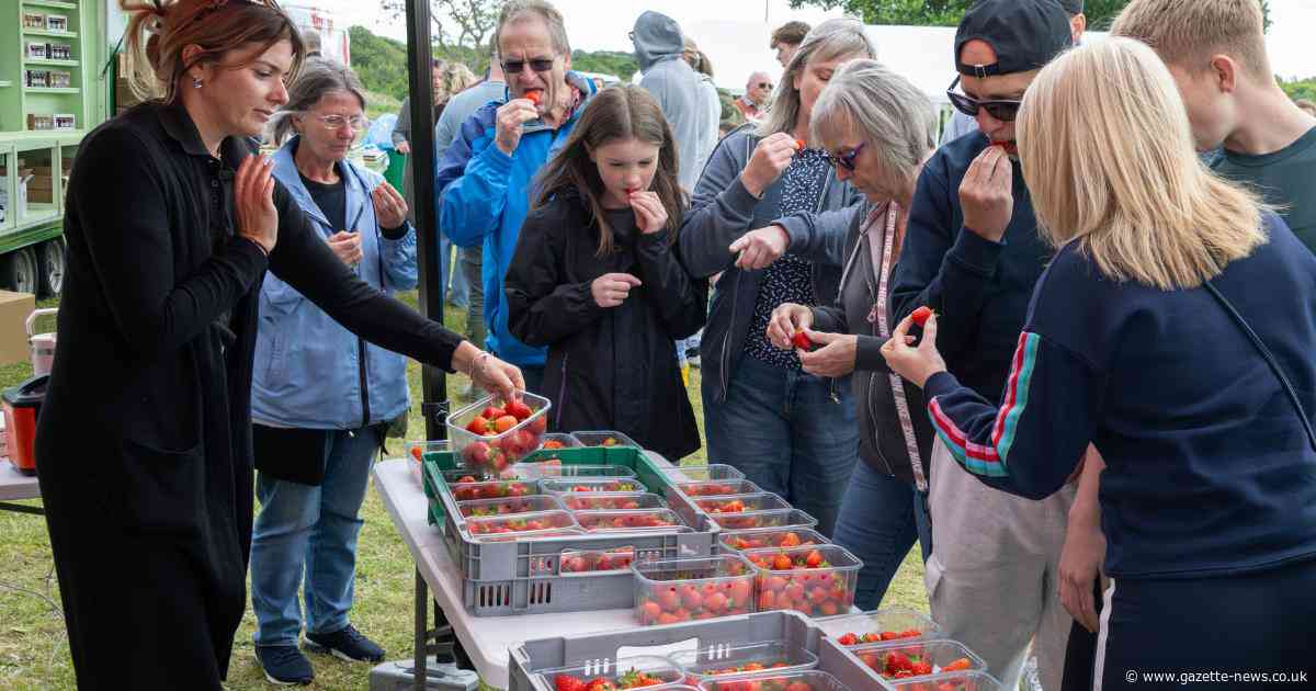 Tiptree's Wilkin and Sons welcomes thousands to its fruit farm for free event