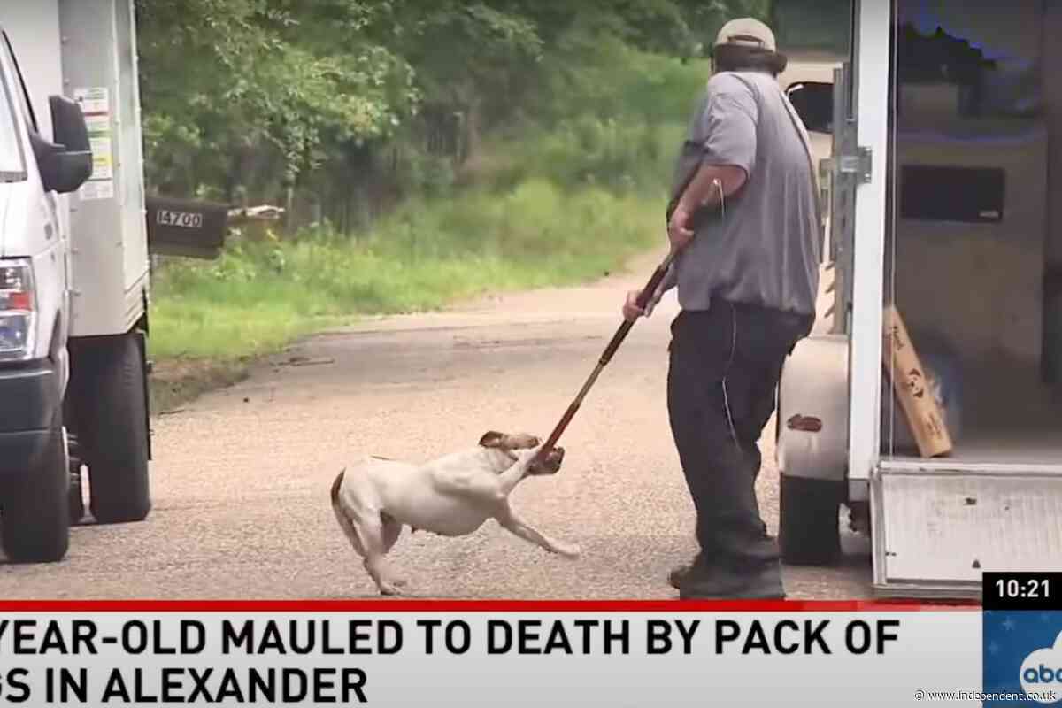 Teen girl killed by pack of neglected dogs as she tried to help them, neighbors say