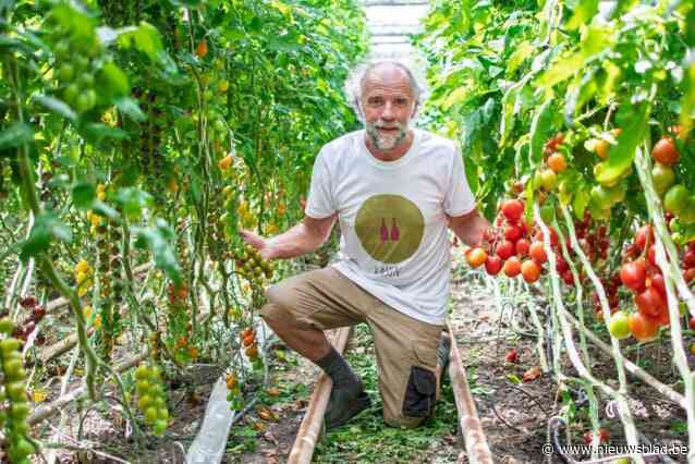 De biotomaten van Philip (60) vinden al 25 jaar hun weg naar topchefs en dat wordt gevierd: “Kraakvers blijft ons motto”