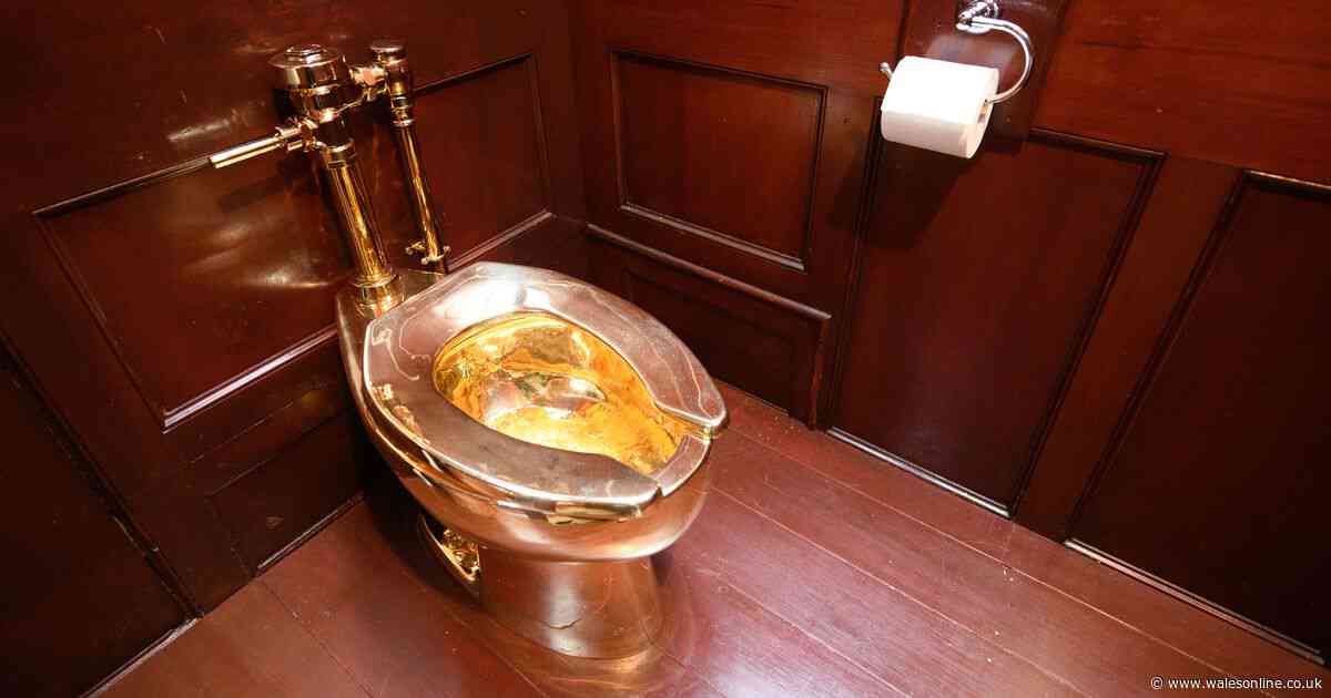 Pair jailed for burglary of £4.75m golden toilet from Blenheim Palace