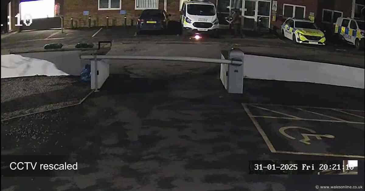 The three things terrorist Alexander Dighton blamed for his vicious attack on police officers