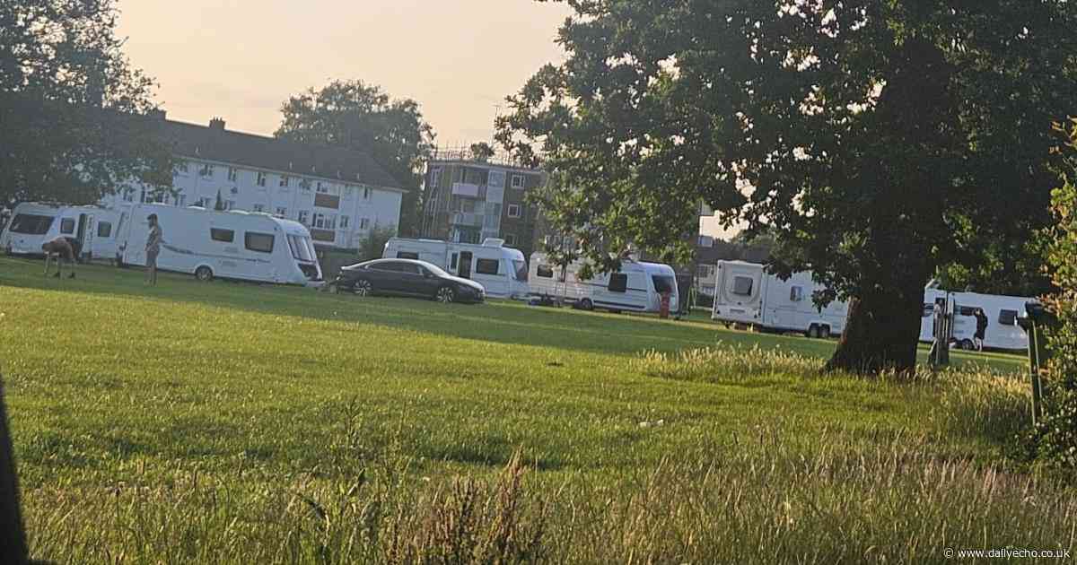 Council 'working' to move travellers on field between houses in Millbrook