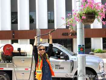 Watering the Sault's downtown