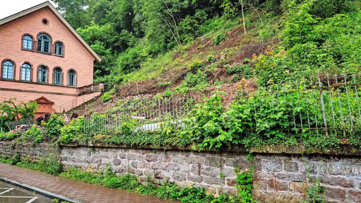 In der Badstraße in Calw: Haus mit sieben Wohnungen soll entstehen – aber geht’s auch kleiner?