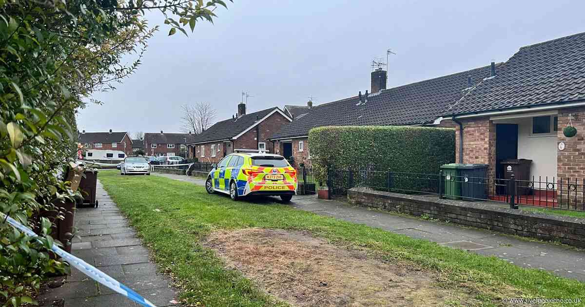 Man allegedly murdered dad, 73, after accusing him of plotting with vet to poison dog