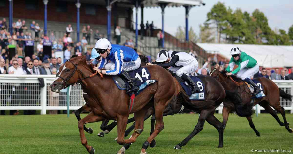 Horse Power: Star Of Mehmas can win the Scurry Stakes at Sandown