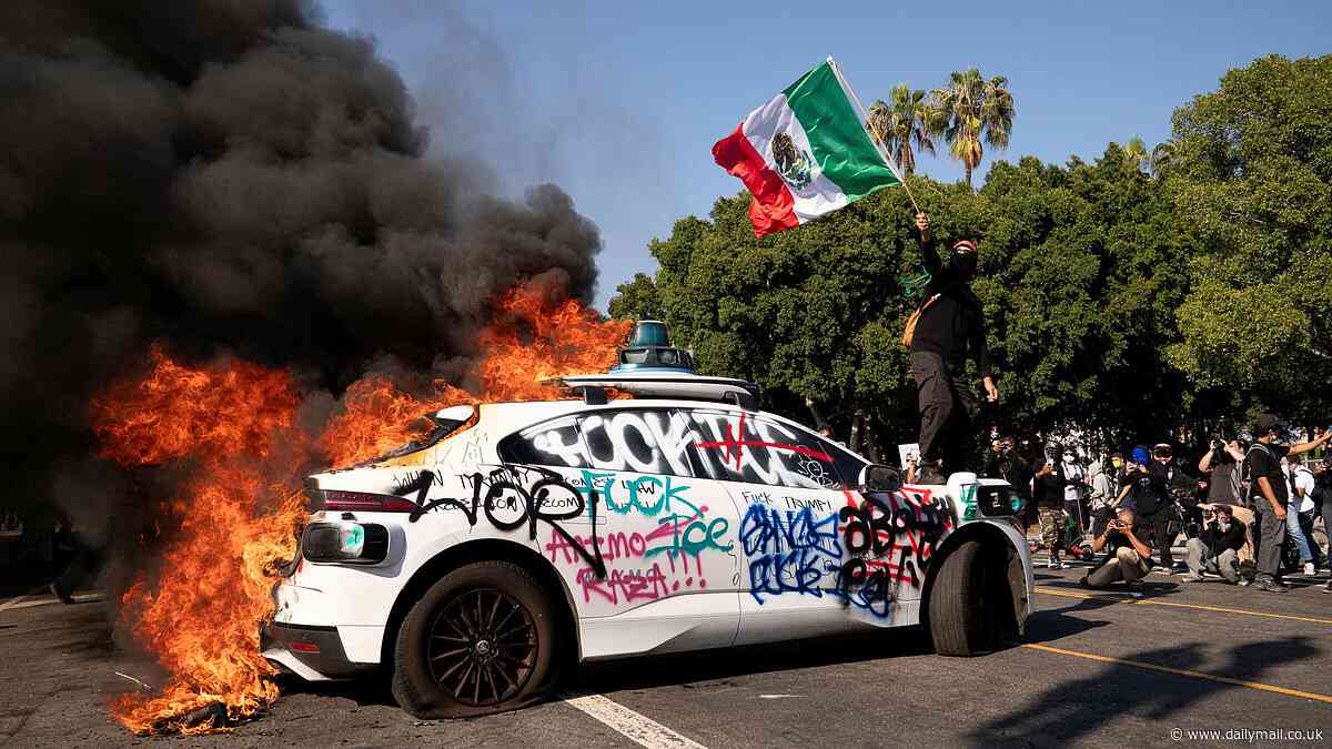 Mexican flag-wielding LA rioters condemned by very unexpected figure