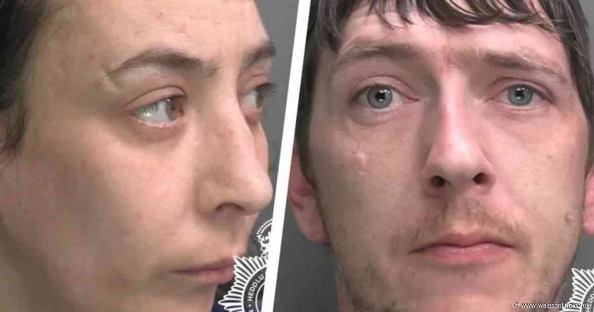 Toddler suffers 'truly breathtaking' injuries in savage dog attack