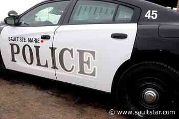 Ex-worker at Sault business fraudulently gets customer's cash: