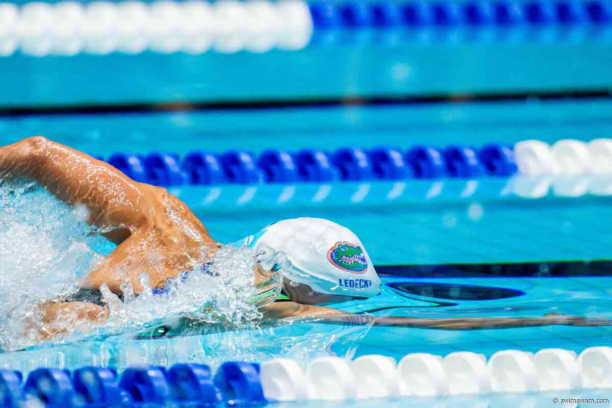 How Do Ledecky and McIntosh Swim The 800? Stroke Count Analysis