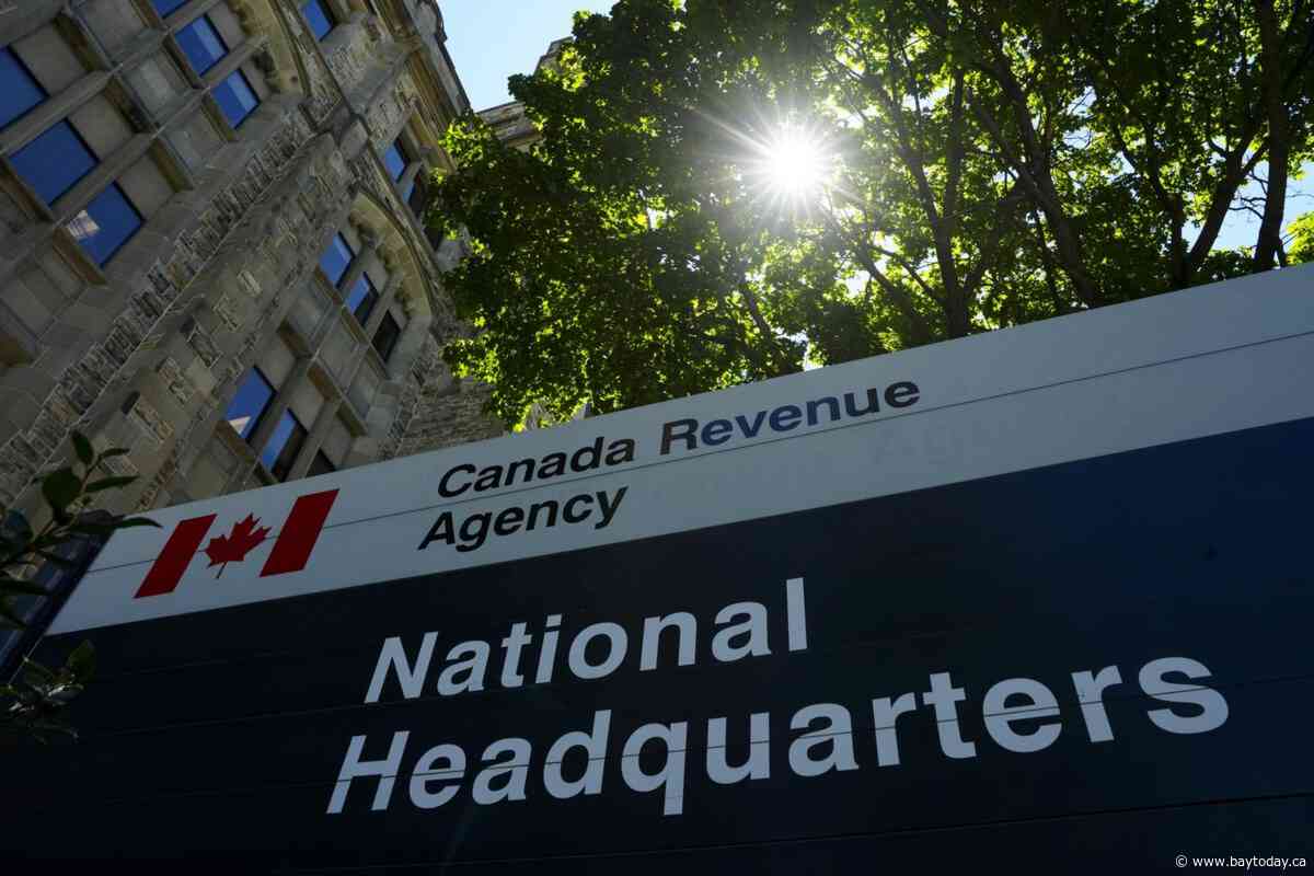 Public service shrinks by nearly 10,000, with tax, immigration hit the hardest