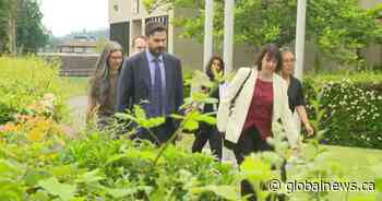 No jail time for lawyer who attacked 80-year-old with knife in Deep Cove