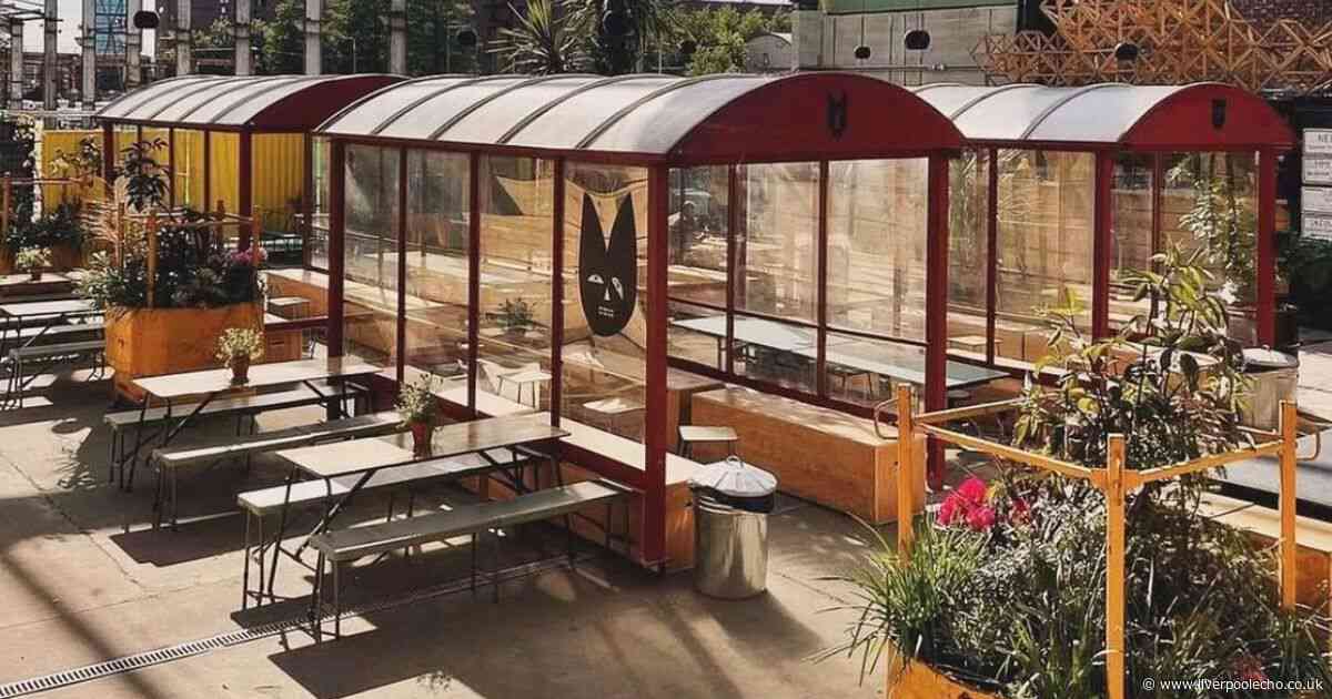 Popular beer garden is asking guests for blood