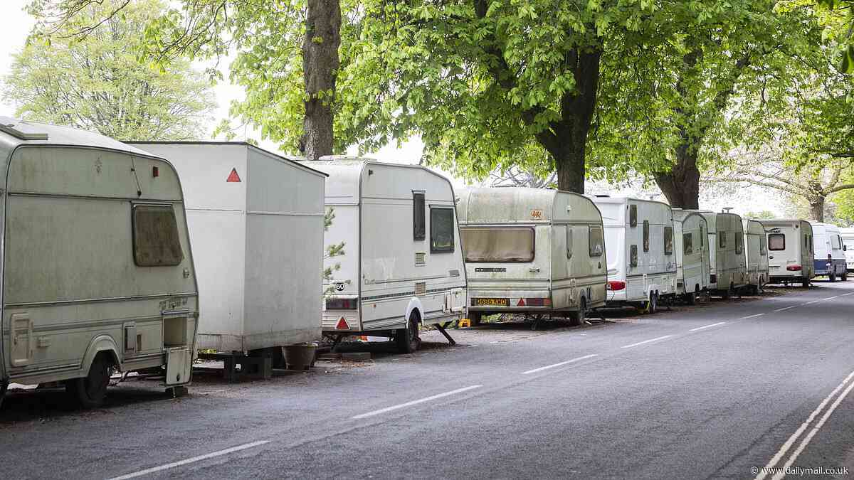 Fury as 'caravan dwellers' living on beloved green spaces wreck popular beauty spot - as hundreds of homeowners march in protest