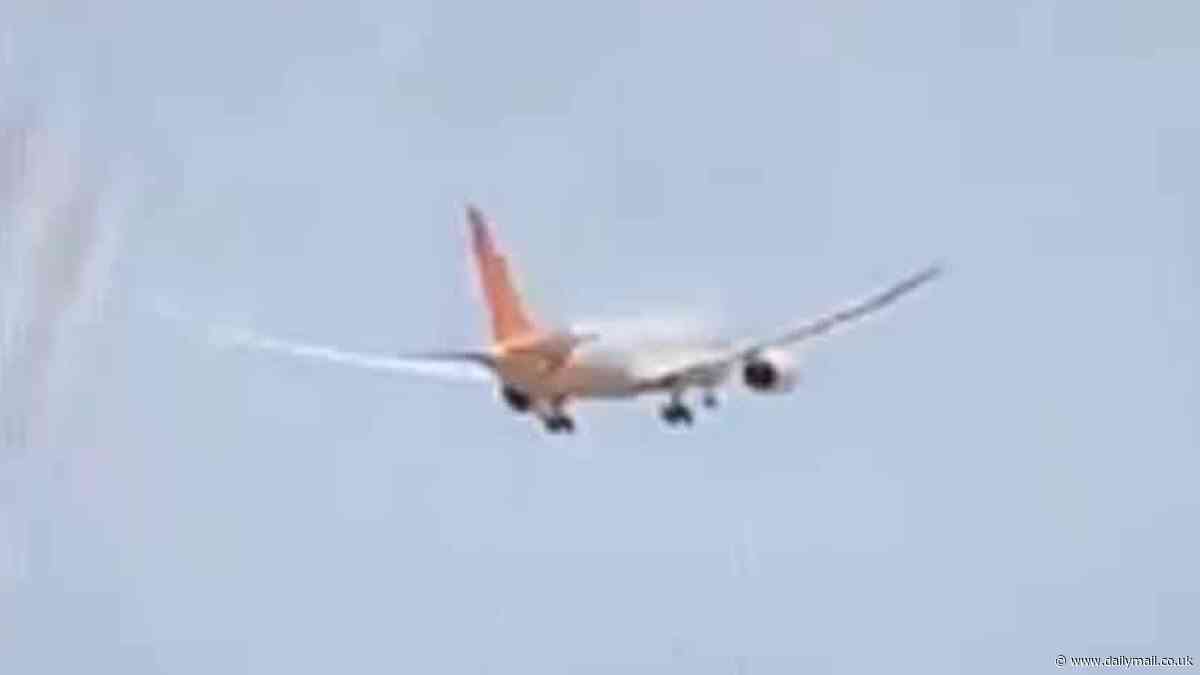 Expert's theory on terrifyingly simple mistake he thinks Air India co-pilot made that caused crash and killed 265