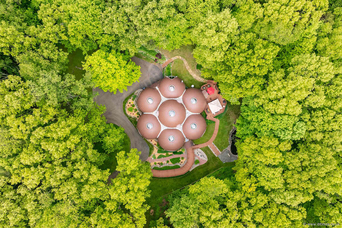 Inside Michigan's $1.9M 'Boba Tea' Mansion: Viral Bubble House Designed by an Orthodontist With Skylights, Curves and a $400K Roof