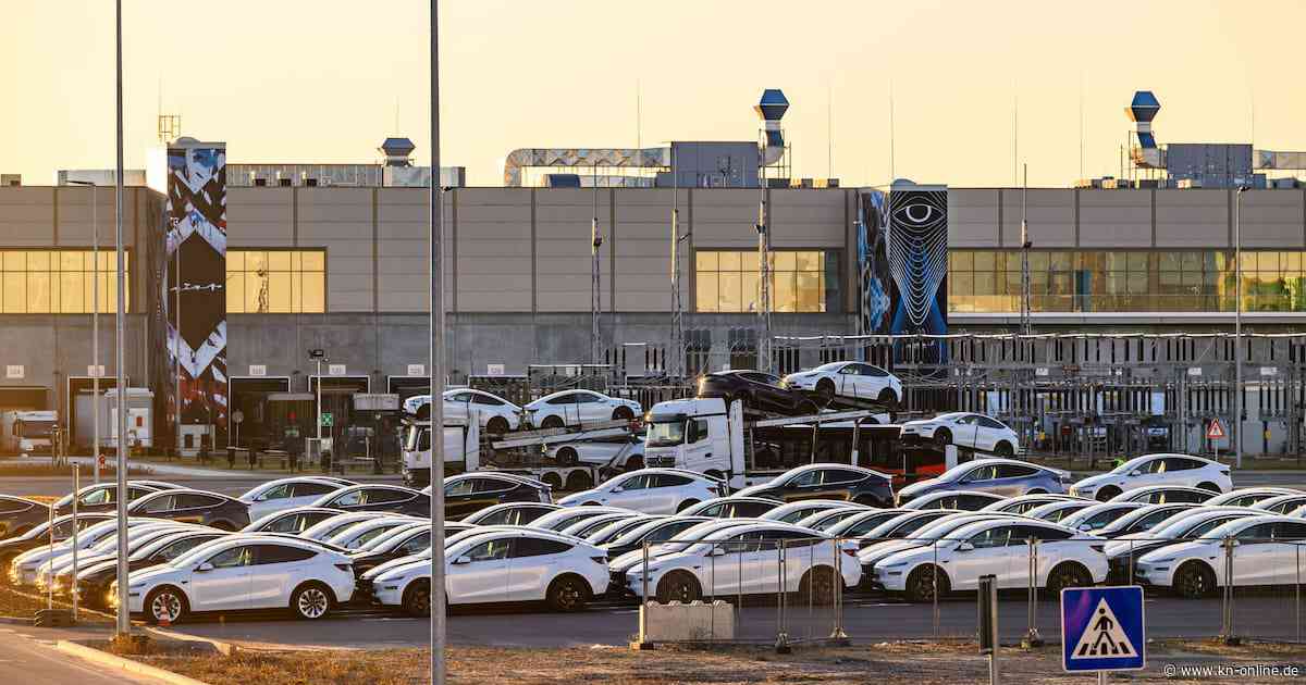 Tesla Grünheide: Autobauer unterschreibt Vertrag zu Abwasser-Recycling